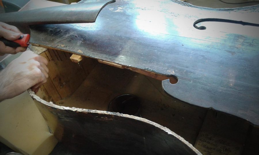 Bassetto a 3 corde Pietro Pallotta e Giovanni Rossi Perugia 1808 - Intermedio